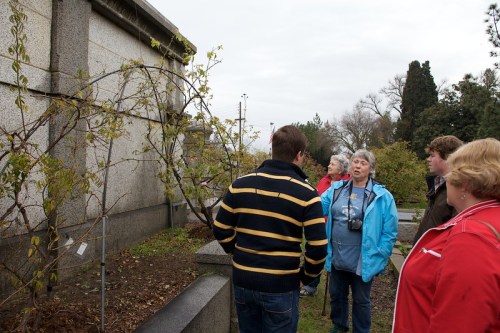 A group of people gathered near a stone structure, discussing while surrounded by greenery on a cloudy day.