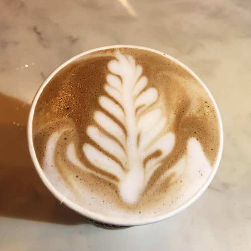 A close-up of a latte with intricate leaf-shaped foam art on top, served in a paper cup.