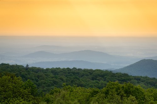 A serene landscape of rolling hills and lush greenery under a warm, golden sunset sky.