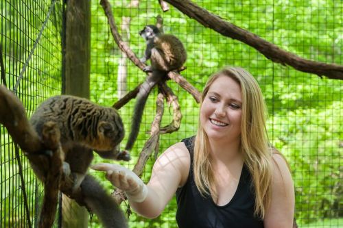 A woman in a zoo interacts with a small monkey while another monkey sits on a branch in the background.