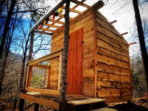 A rustic wooden cabin nestled among trees, featuring a slanted roof and a small porch.