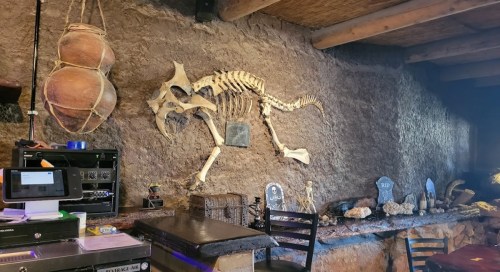 A skeleton of an animal mounted on a rustic wall, with decorative items and a bar area in a dimly lit space.