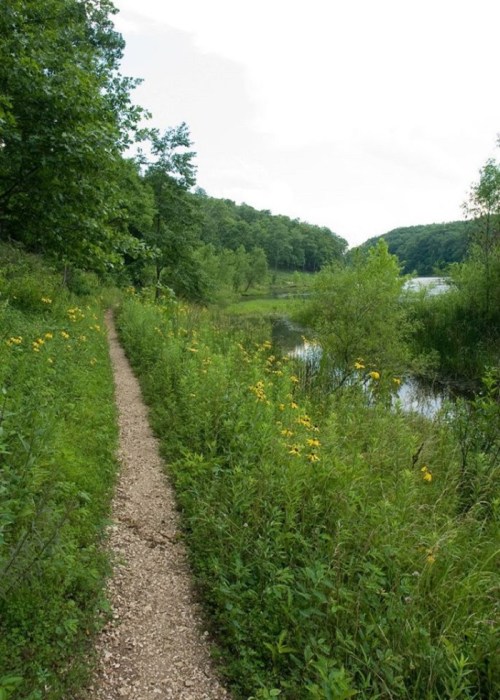 A winding gravel path bordered by lush greenery and wildflowers, leading to a serene lake under a cloudy sky.