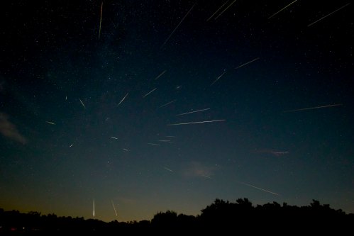 A night sky filled with streaks of light from meteor showers, surrounded by silhouettes of trees.