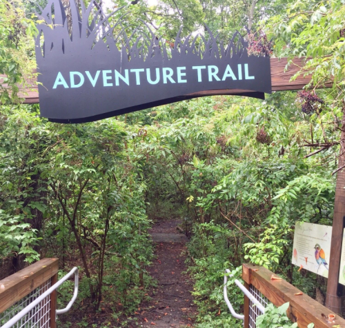 A wooden sign reading "Adventure Trail" above a lush, green pathway surrounded by dense foliage.