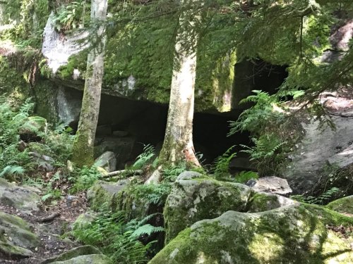 A moss-covered rock formation with trees and ferns, leading to a dark cave entrance in a forested area.