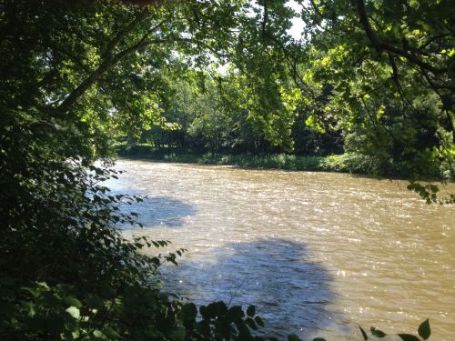A serene river flows through a lush green landscape, framed by trees and sunlight reflecting on the water's surface.