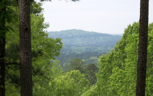 Lush green trees frame a distant view of rolling hills under a cloudy sky.