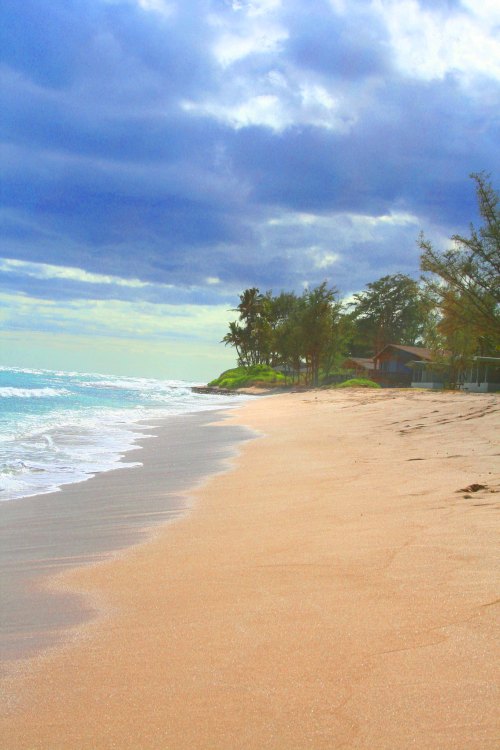 A serene beach scene with soft sand, gentle waves, and palm trees under a cloudy sky.