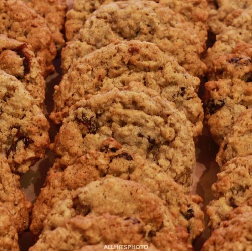 A close-up of freshly baked oatmeal cookies arranged in a neat row, showcasing their golden-brown texture.