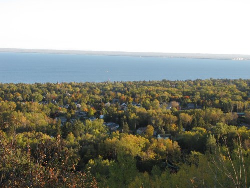 A scenic view of a lush green landscape with trees, leading to a calm blue lake under a clear sky.