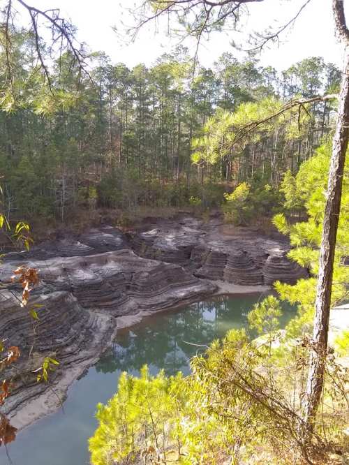 A serene landscape featuring layered rock formations beside a calm body of water, surrounded by tall pine trees.