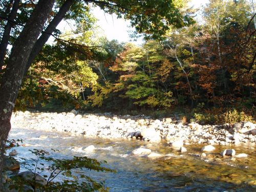 A serene river flows through a rocky bed, surrounded by trees with autumn foliage.