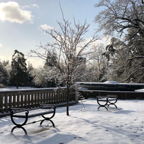 A snowy park scene featuring two benches, a bare tree, and a sunlit sky with scattered clouds.