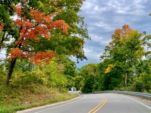 A winding road surrounded by trees with autumn foliage in shades of green and orange under a cloudy sky.