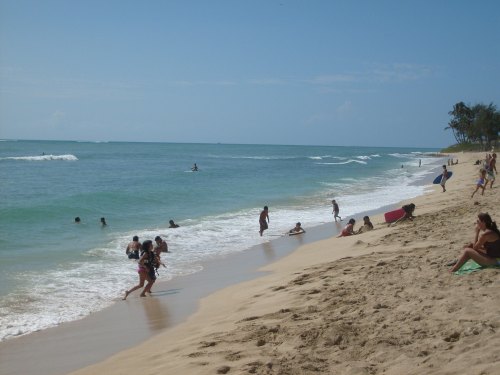 A sunny beach scene with people swimming, playing in the sand, and surfing in the ocean waves. Palm trees in the background.