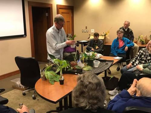 A speaker presents to an audience about plants in a conference room, with various potted plants on the table.