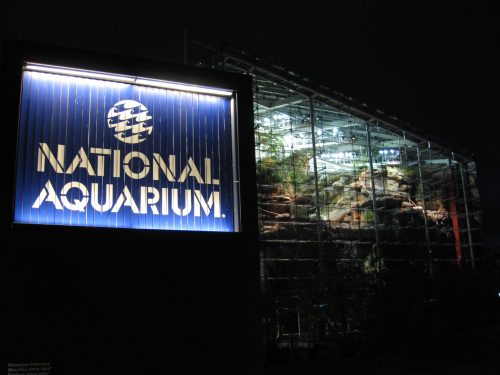 Sign for the National Aquarium illuminated at night, with a glass building featuring plants and rocks in the background.