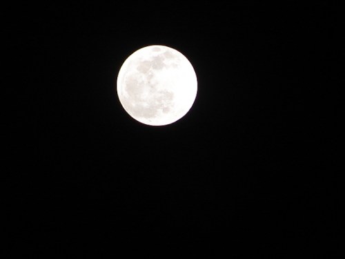 A bright full moon glowing against a dark night sky.