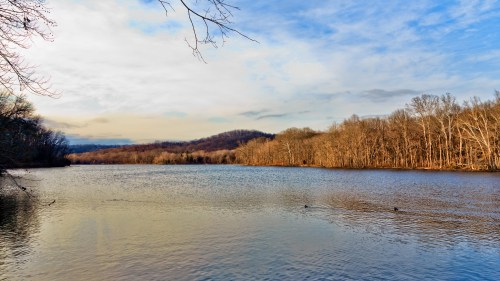 A serene river scene with calm water, trees lining the shore, and a cloudy sky in the background.