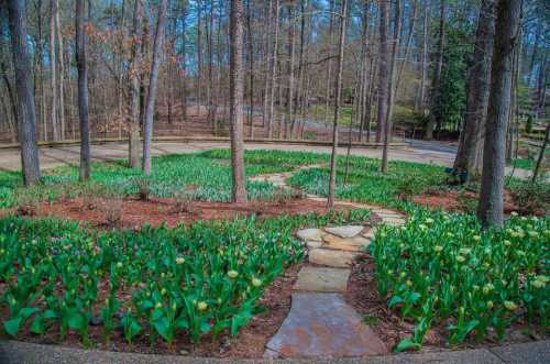 A winding stone path through a garden filled with green tulip leaves and trees in a serene, wooded area.