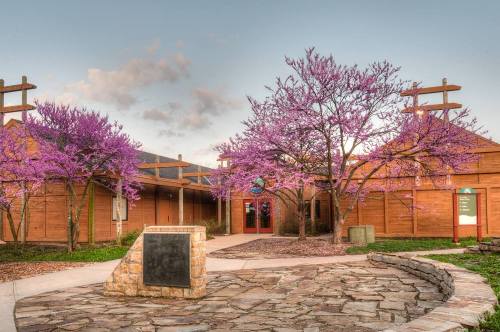 A building surrounded by vibrant purple flowering trees and a stone pathway leading to the entrance.