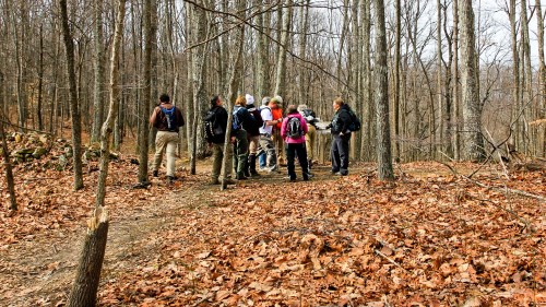 A group of hikers gathers on a forest trail covered in fallen leaves, surrounded by bare trees in early spring.
