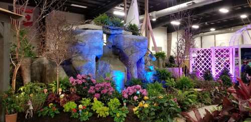 A vibrant indoor garden display featuring colorful flowers, lush greenery, and a rock formation illuminated with blue light.