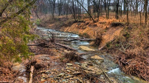 A serene creek flows through a wooded area, with fallen logs and rocky banks, under a cloudy sky.