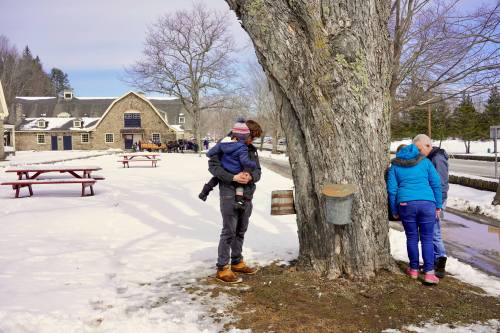 A family enjoys a snowy outdoor scene, with a tree and picnic tables in the background. One person holds a child.