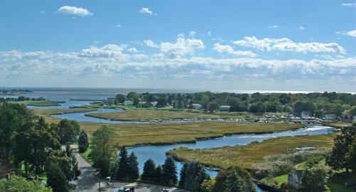 A scenic view of a marshland with winding rivers, lush greenery, and a bright blue sky with scattered clouds.