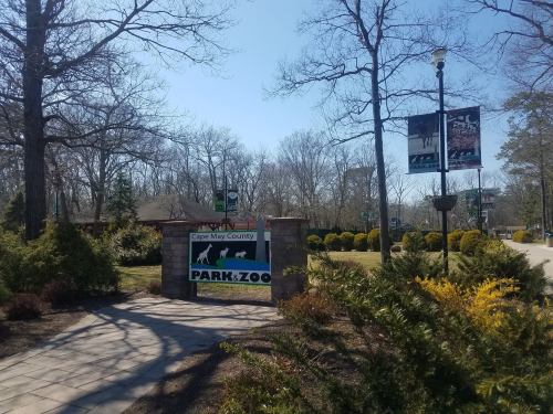 Entrance to Cape May County Park & Zoo, featuring a sign and landscaped greenery under a clear blue sky.