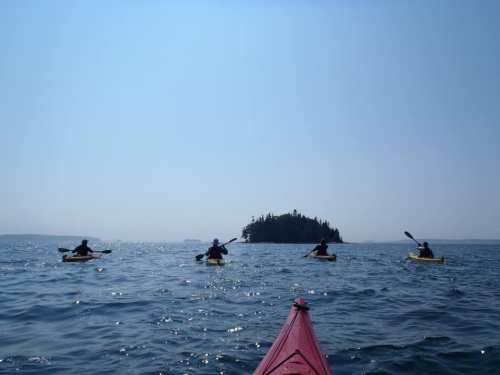 Four kayakers paddle on a calm lake, with a small island visible in the background under a clear blue sky.