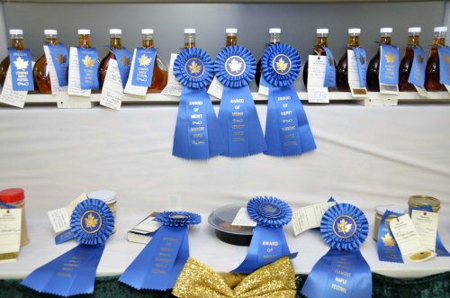 Bottles of syrup and blue ribbons displayed on a shelf, showcasing awards from a maple festival.