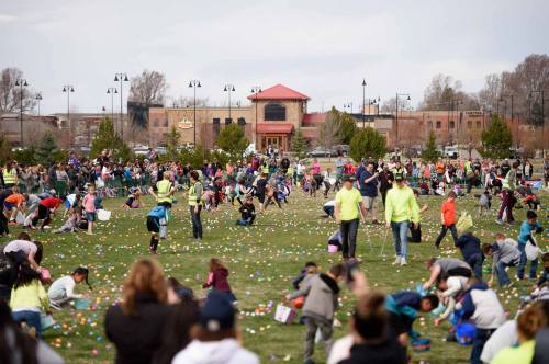 A large crowd of children and adults gather in a park, searching for colorful Easter eggs scattered on the grass.