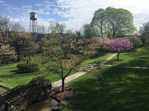 A serene garden with blooming trees, a stone path, and a water tower in the background under a partly cloudy sky.
