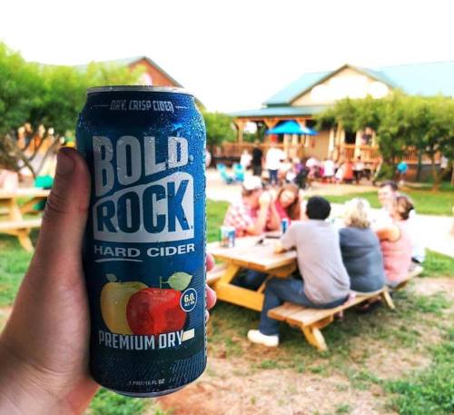 A hand holds a can of Bold Rock Hard Cider in a lively outdoor setting with people socializing at picnic tables.
