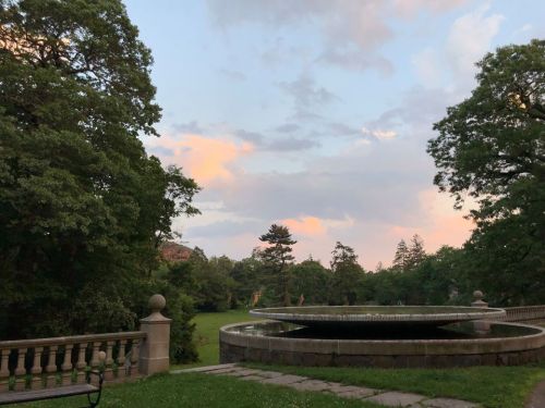 A serene park scene featuring a circular fountain surrounded by lush greenery and a pastel sky at sunset.
