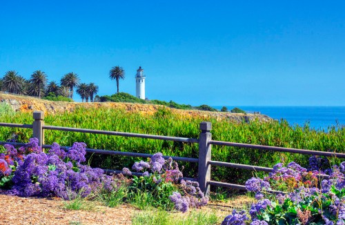 A scenic view of a lighthouse by the ocean, surrounded by vibrant flowers and palm trees under a clear blue sky.