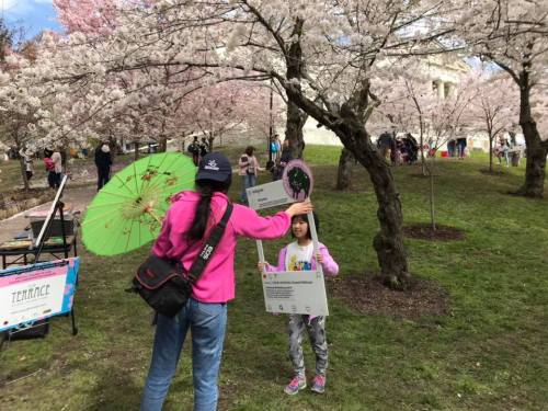 A child holds a photo frame while an adult with a parasol poses in a cherry blossom park during a festival.