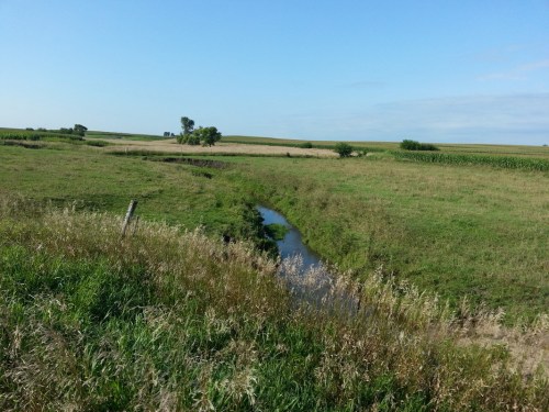 A serene landscape featuring a small stream winding through grassy fields under a clear blue sky.