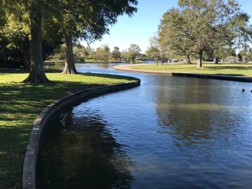 A serene park scene featuring a winding pond surrounded by trees and green grass under a clear blue sky.