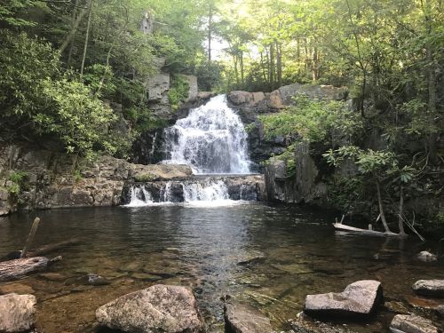 A serene waterfall cascades over rocks into a calm pool, surrounded by lush greenery and trees.