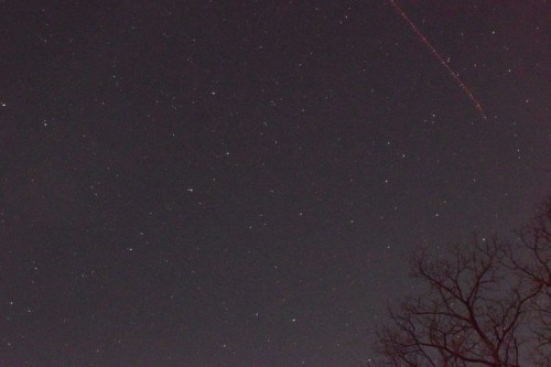 A night sky filled with stars, featuring a faint red streak and a silhouette of a bare tree in the foreground.