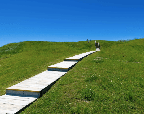 A wooden walkway leads through lush green grass towards a hill under a clear blue sky.