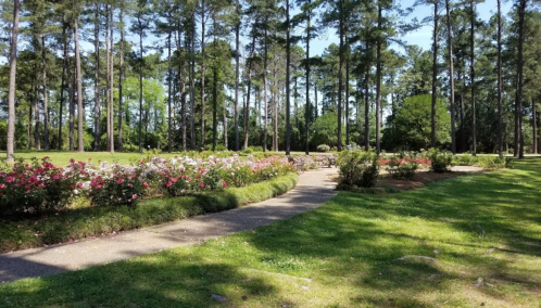 A scenic park with a winding path surrounded by colorful flower beds and tall trees in the background.