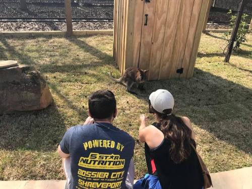 Two people sit on the grass, observing a kangaroo near a wooden structure in a sunny outdoor setting.