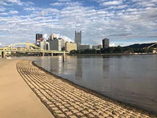 A view of a riverbank with a city skyline in the background, featuring bridges and a partly cloudy sky.