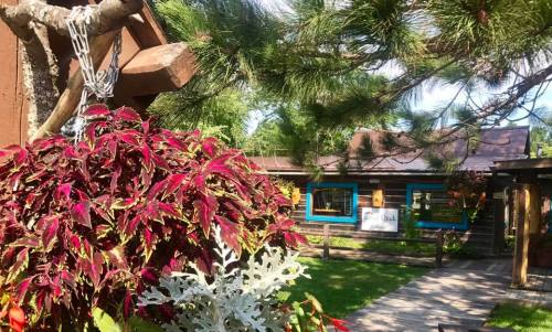 A vibrant garden with colorful plants in the foreground, leading to a rustic building surrounded by trees.