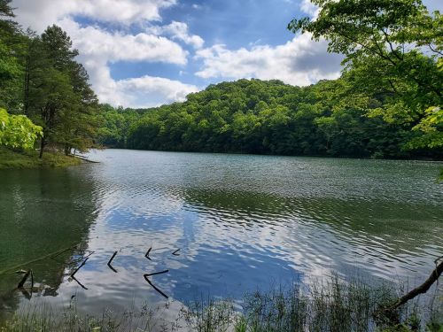 A serene lake surrounded by lush green trees under a partly cloudy sky, reflecting the landscape on the water's surface.